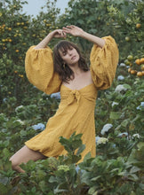 Load image into Gallery viewer, ALICE Yellow Mini Dress
